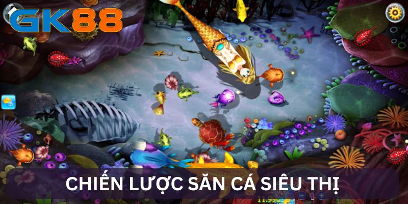 Chiến lược săn cá siêu thị