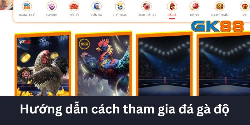 Hướng dẫn tham gia cá độ đá gà