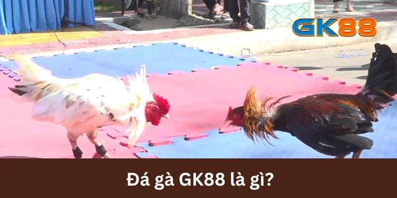 Đá gà GK88 là gì?